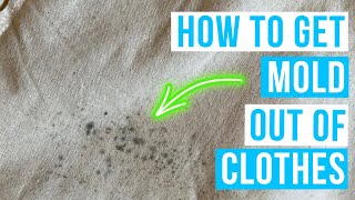 How to GET MOLD OUT OF CLOTHES  mold stains removal [upl. by Alleb]