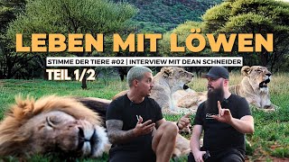 Leben mit Löwen 🦁 Dean Schneider im Interview Teil 1 [upl. by Anolahs]