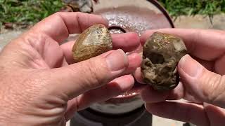 Rock War Wednesday unknown agate versus landscaping rock cajunrockhound nola agate rock hunting [upl. by Osithe560]