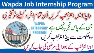 Internship Program in WAPDA 2024  How to Apply for Wapda Internship Program 2024  Wapda Internship [upl. by Ikcaj328]