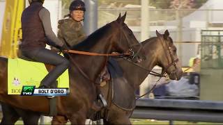 Spendthrift Farms General Manager Ned Toffey on 2018 Kentucky Derby Contender Bolt dOro [upl. by Pieter]