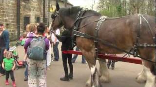 Our rehomed horses  Baron the Clydesdales Story [upl. by Ehtyde190]