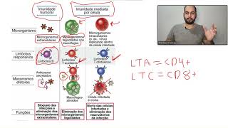 Imunologia Aula 3  Imunidade celular x Imunidade humoral [upl. by Eidac]