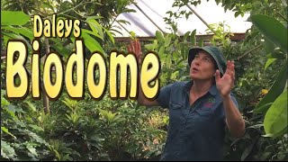 Daleys Biodome 100s of Dwarf Fruit Trees in a Small Space  Tropical Plants [upl. by Airdnaxela]