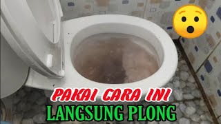 Cara Cepat Mengatasi Toilet MampetTersumbat Dengan Mudah  Kamu Juga Bisa [upl. by Leima820]