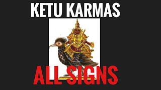 KETU KARMAS IN ALL SIGNS South Node in All Signs [upl. by Wernsman926]