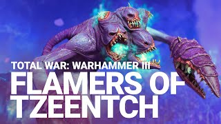 Flamers of Tzeentch Unit Spotlight  Total War WARHAMMER III [upl. by Bonacci]