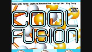 Cool Fuison Riddim Mix 2004 By DJWOLFPAK [upl. by Kenji]