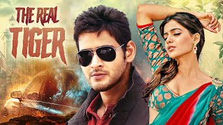 Mahesh Babu THE REAL TIGER 2011 Samantha Ruth Prabhu New Release Hindi Dubbed Movie  Prakash Raj [upl. by Valentijn]