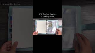 100 Envelope Savings Challenge Book [upl. by Eelyram]