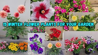 Winter Flowering Plants for Your Garden [upl. by Nyliram]