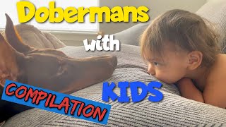 Vicious Dobermans with Helpless Kids 😂 Compilation [upl. by Ahgem]