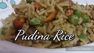 Pudina rice in tamil  புதினா சாதம்  Mint rice in tamil [upl. by Rimas]