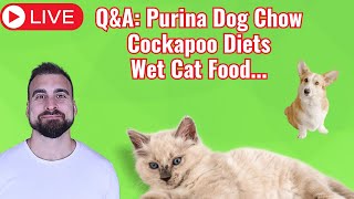 QampA Wet Cat Food Best Cockapoo Food Complete Food amp more [upl. by Adnarom]