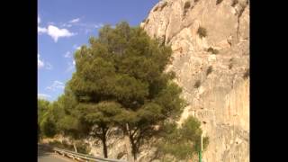 Embalse del Conde del Guadalhorce Ardales Guadalteba Málaga [upl. by Ardnek]