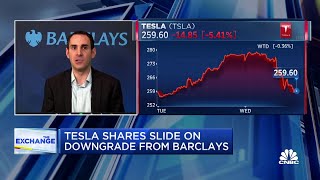 Teslas value is dismissing fundamental challenges says Barclays Dan Levy [upl. by Wyler]