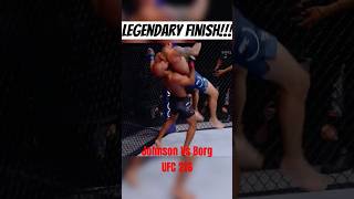 Demetrious Johnson FLYING ARMBAR against Ray Borg mma ufc [upl. by Laehcar]