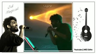 Uyire Uyire Sid Sriram Stage performance  Whatsapp Status  Tamil [upl. by Arraeis494]