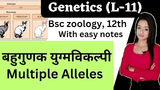 genetics L11Multiple alleles in Hindi knowledge adda bsc 3 rd year zoology in Hindi lion batc [upl. by Pol]