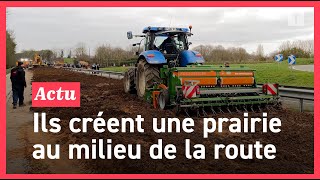 Colère des agriculteurs ils sèment un hectare sur la RN165 [upl. by Adnama]