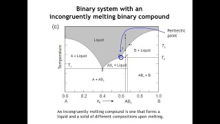 Lecture 20 Binary Phase Diagrams Part 2 [upl. by Akirehs]