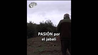 PASIÓN por el Jabalí hunting [upl. by Haila414]