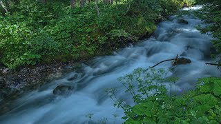 Montafon Gauertal Rasafeibach [upl. by Nahta654]