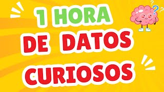 Curiosidades Que Te Dejarán con la Boca Abierta curiosidades datosfascinantes datoscuriosos [upl. by Htebiram]