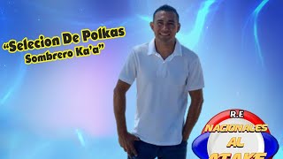 CASTEL Y SU GRUPO  SELECCION DE POLKAS SOMBRERO KAA  Polka Paraguaya 2024 Igustokuete [upl. by Lauhsoj]