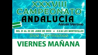 Campeonato de Andalucía ALEVIN de NATACIÓN  DOS HERMANAS 2024 [upl. by Akers]