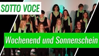 Comedian Harmonists  Wochenend und Sonnenschein Cover [upl. by Nnayram573]