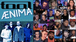 REACTION COMPILATION  Tool  Ænima Aenima  FIRST TIME HEARING Mashup [upl. by Suoiradal]