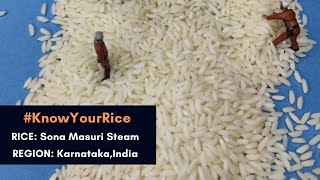 Sona Masoori Steam  Know Your Rice [upl. by Emery145]