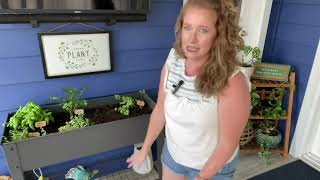 FOYUEE Raised Planter Box Review  Perfect for Small Spaces [upl. by Normak]