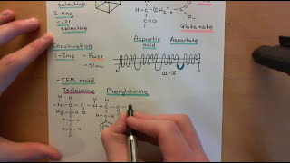 Voltage Gated Ion Channels Part 11 [upl. by Winola]