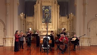 CPE Bach Cello Concerto in A Minor Wq 170 William Skeen amp Voices of Music original instruments [upl. by Colis]