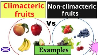 Climacteric Fruits vs Non climacteric me हिंदी में [upl. by Bj]