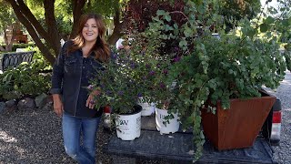 Planting Sun Loving Shrubs Butterfly Bush Ninebark amp Coralberry 💚🌿💚  Garden Answer [upl. by Torosian]