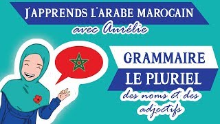 🇲🇦JAPPRENDS LE DARIJA MAROCAIN  Grammaire n°2  Le Pluriel des Noms et Adjectifs Maroc Émoi [upl. by Kendall]