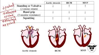 Heart murmur Aortic Stenosis Hypertrophic cardiomyopathy and etc USMLE STEP 1 [upl. by Anih]