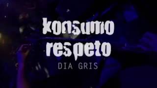 Konsumo Respeto  Día gris  Videoclip oficial [upl. by Aicilegna]