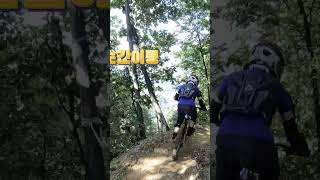 mtb유단잔가 와사바리 한판 자전거 mtb mtb파크 downhill 월팍 에코2 자빠링 자전거고수 mountainbike [upl. by Aciras]