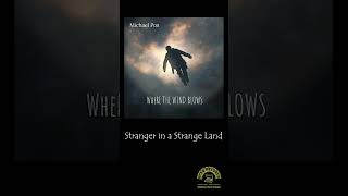 Michael Pos  Stranger in a Strange Land  OFFICIAL AUDIO michaelpos eclecticrootsgroove [upl. by Anawal]