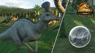 GYROBALL ride OLOROTITAN and TSINTAOSAURUS  Jurassic World Evolution 2 [upl. by Adias753]