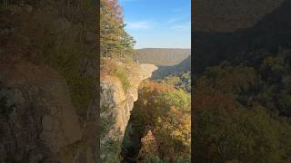 hiking hawksbill cragwhitaker point 🍁 ozark national forest arkansas video on channel shorts [upl. by Schwinn]