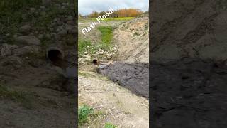 Flash Flood in to The Small Pipe flashflood collapsebeaverdam drain asmr shorts [upl. by Kathie]