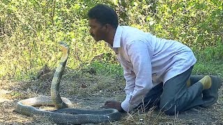 Vava Suresh Kissing a KING COBRA   Vava Suresh Snake Master 18032016  Kaumudy TV [upl. by Zohar]