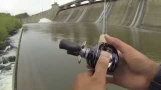 Saugeye and Buffalo Carp Fishing at Hoover Dam [upl. by Toolis75]