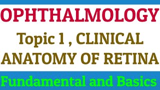 RETINA  OPHTHALMOLOGY  ANATOMY OF RETINA  OPHTHALMOLOGY LECTURES [upl. by Aeet]