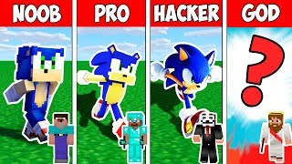 Minecraft NOOB vs PRO vs HACKER vs GOD  SONIC THE HEDGEHOG in Minecraft Animation [upl. by Bainbrudge]